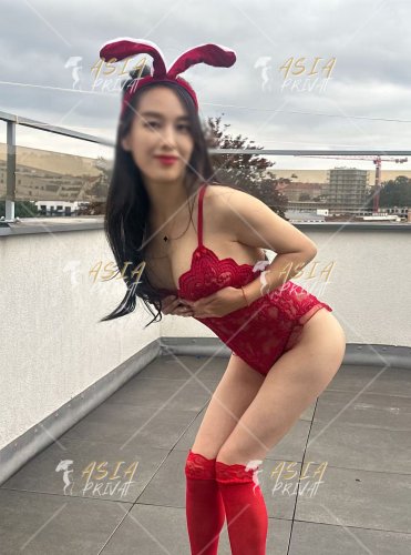 Asia Privat Plzen