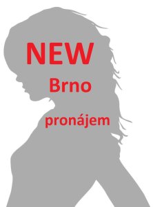 GARSONKA - PRONÁJEM