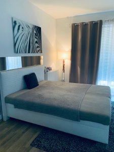 Volný pokoj Olomouc